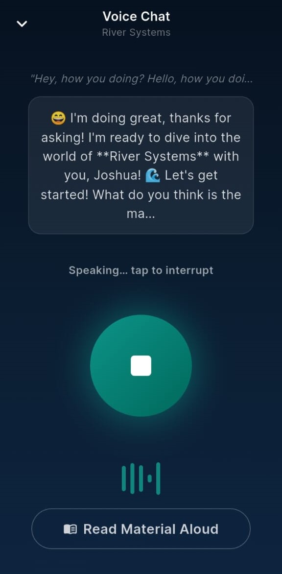 Voice chat speaking state — AI tutor responding with animated waveform and stop button